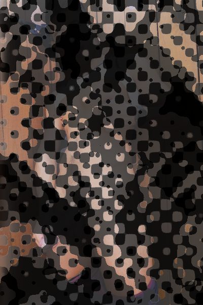 Photo of Luke Truong
