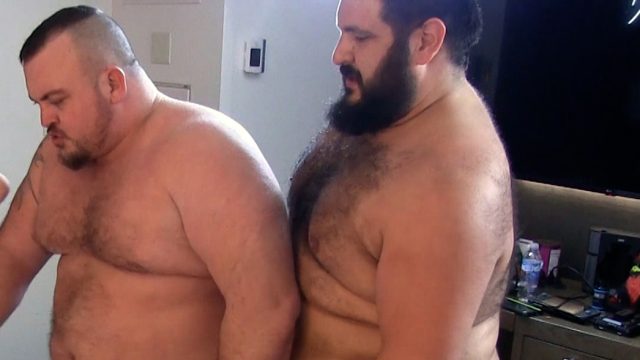 Photo of Dad Bear Sandwich