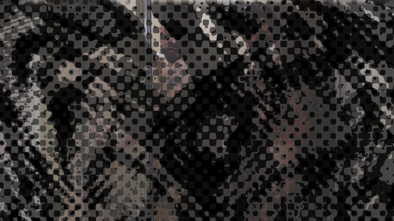 Photo of 2 Bears 1 Shower