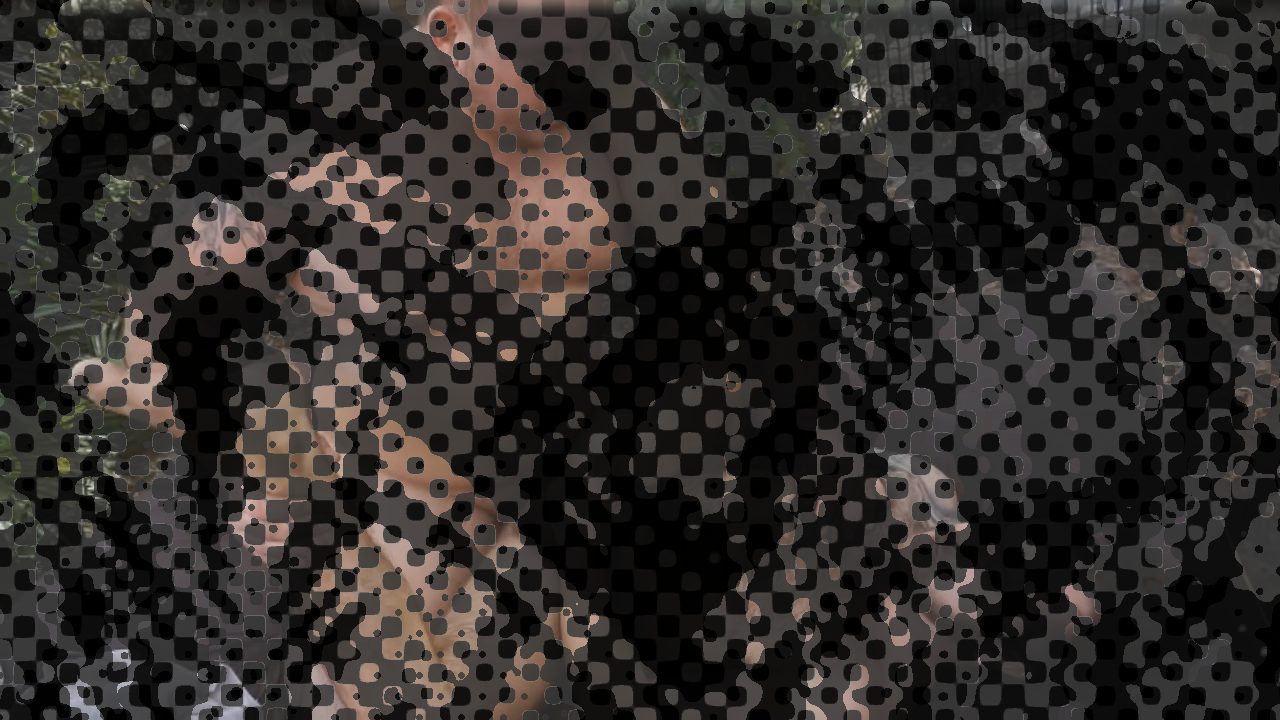 Photo of Monster Crush