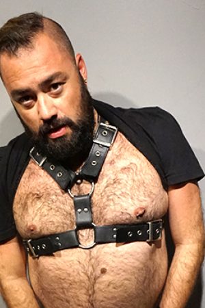 Photo of Bearsilien
