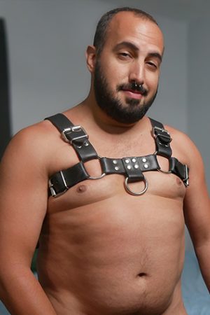 Photo of Armo Cub